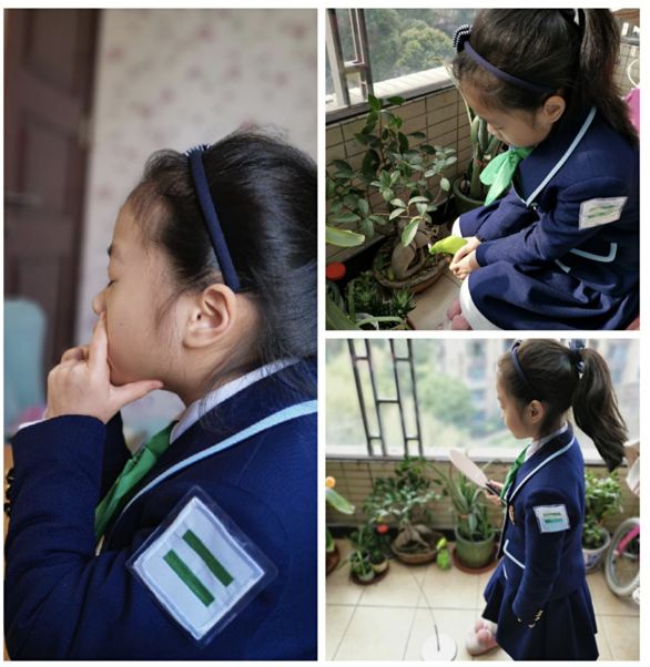 1583724631323784.jpg 微信图片_20200309112603.jpg