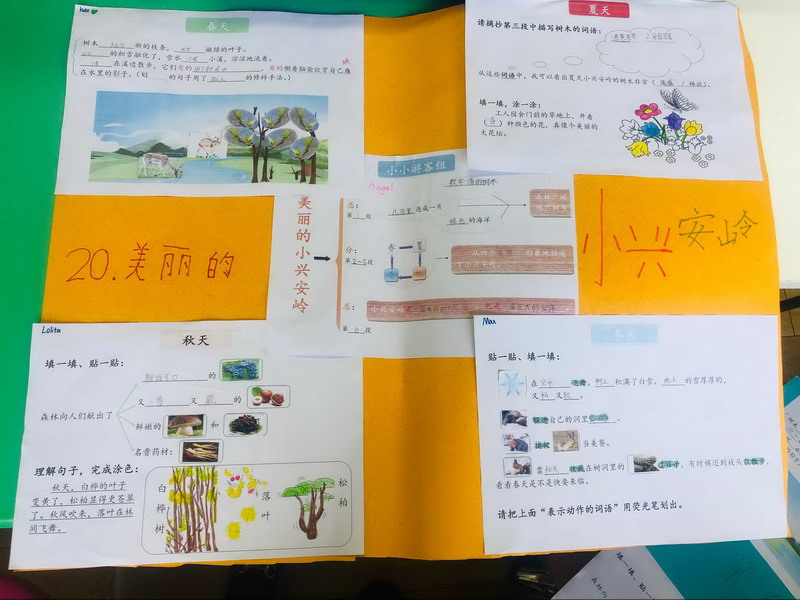 图三.JPG