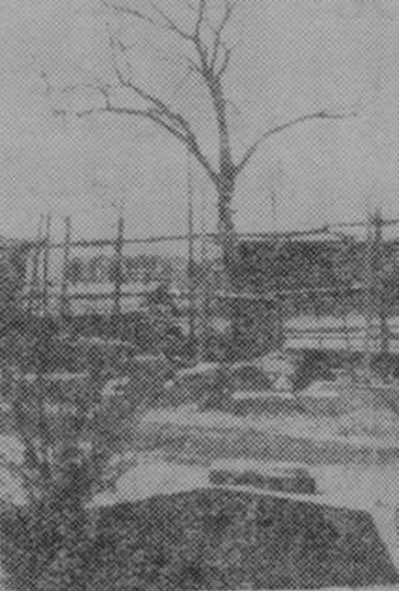 1631511107877467.jpg 12.jpg