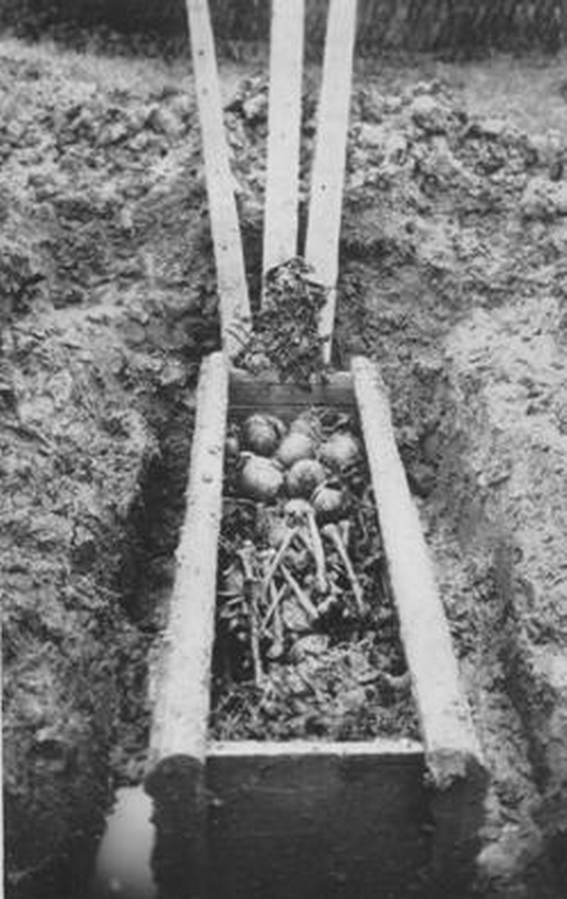 1631511120864293.jpg 13.jpg