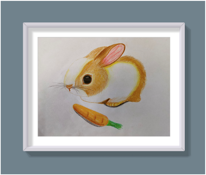 1652258569218410.png 9.png