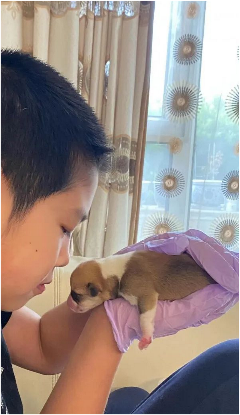 1652966654889886.png 3.png