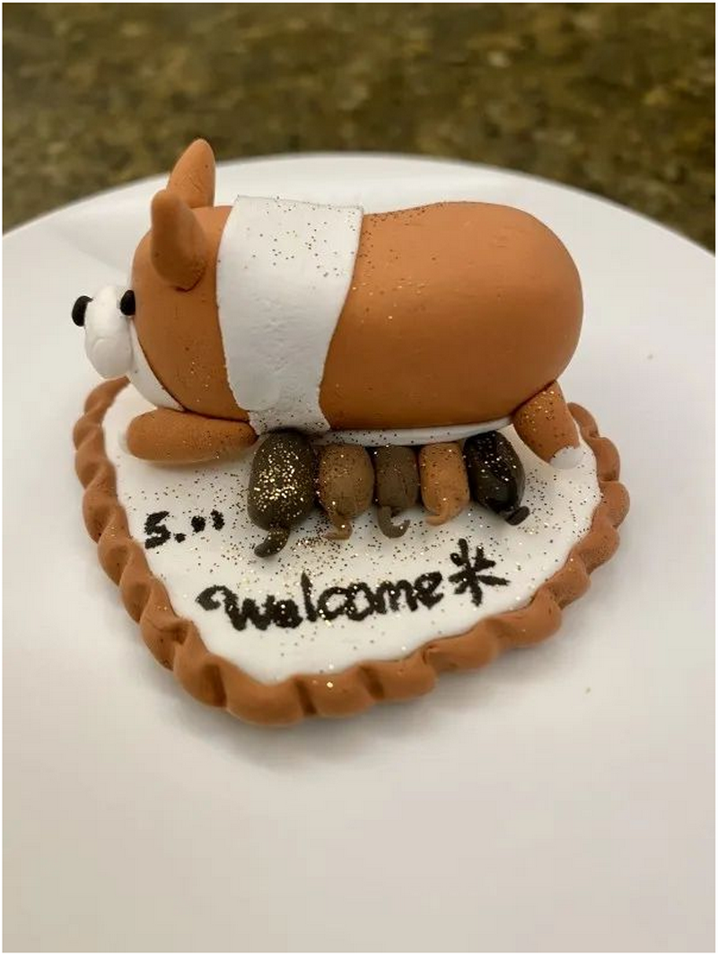 1652966667284338.png 4.png