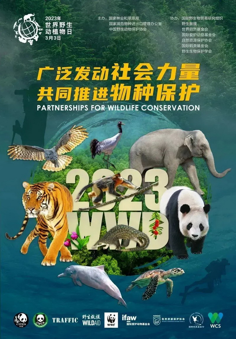 1677991207872070.jpeg 1.jpeg