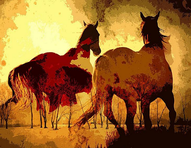 1680575571880310.png 图片1.png