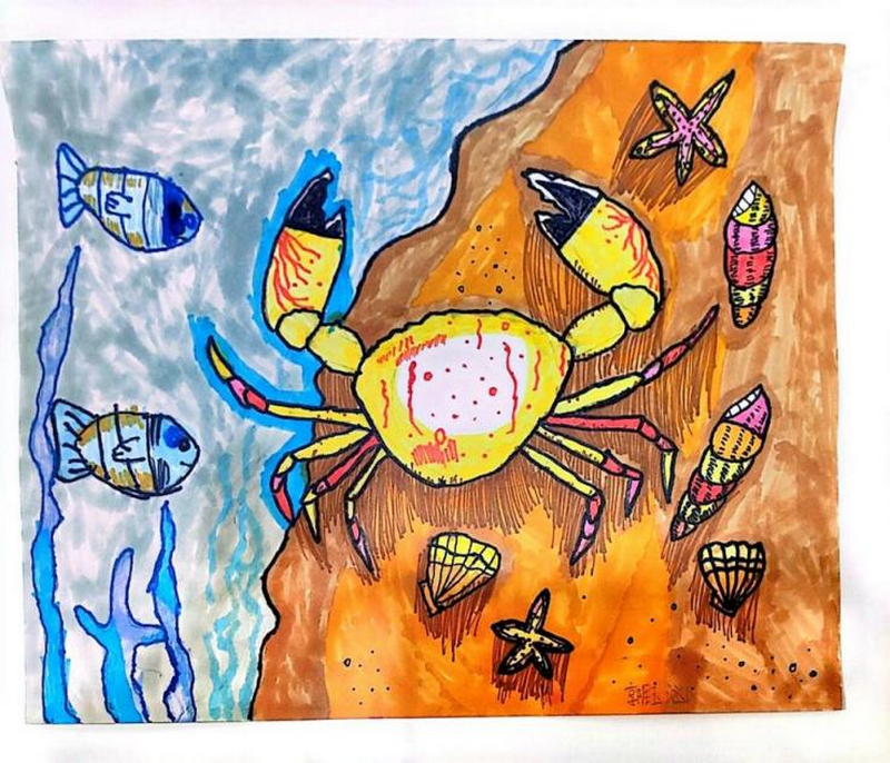 1704867154976137.png 图片14.png