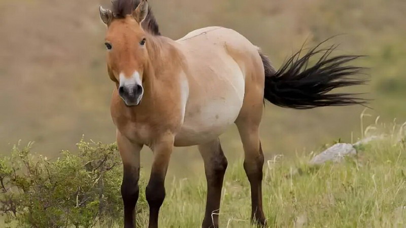 1771410978116326.jpg 13.jpg